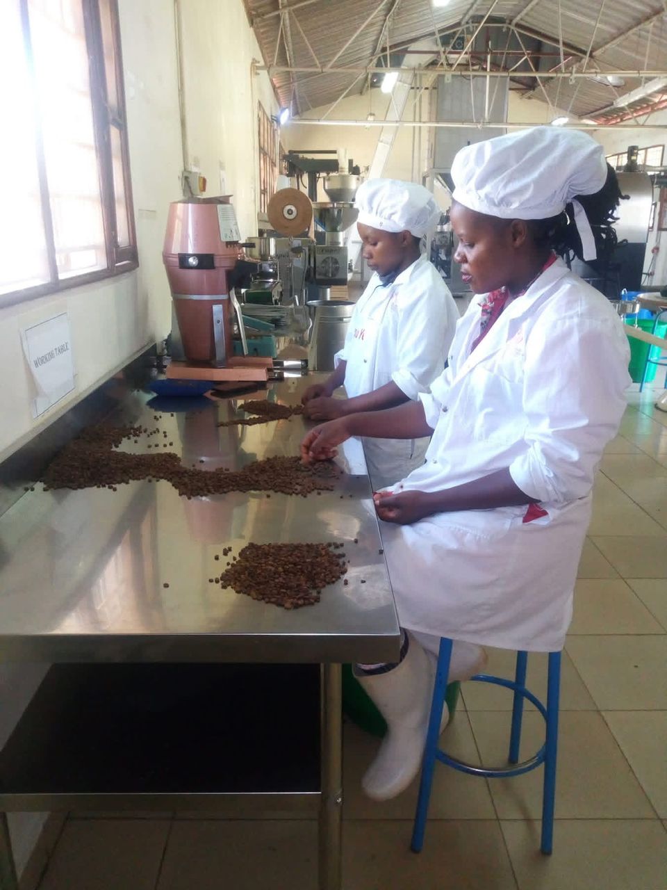 Shatsi Coffee brewing